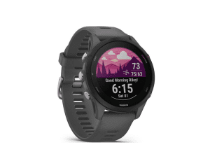 Garmin Forerunner 255 Sports Watch