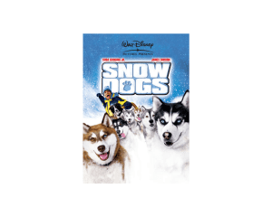 Walt Disney Snow Dogs DVD